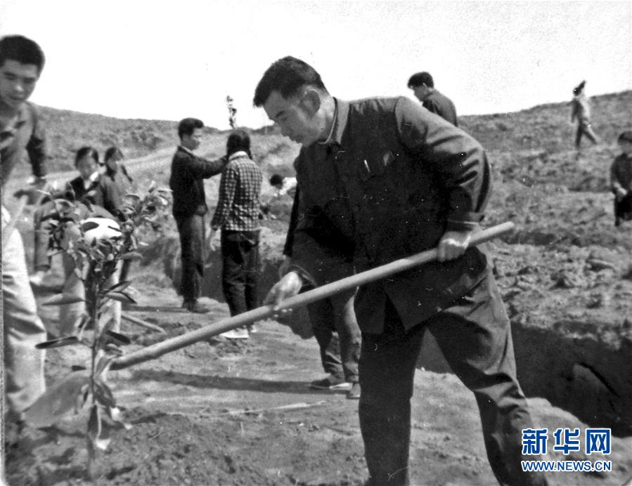 （紅土地&ldquo;往事新說&rdquo;&middot;圖文互動(dòng)）（1）昔日房前&ldquo;一棵苗&rdquo; 今朝引來橙滿枝