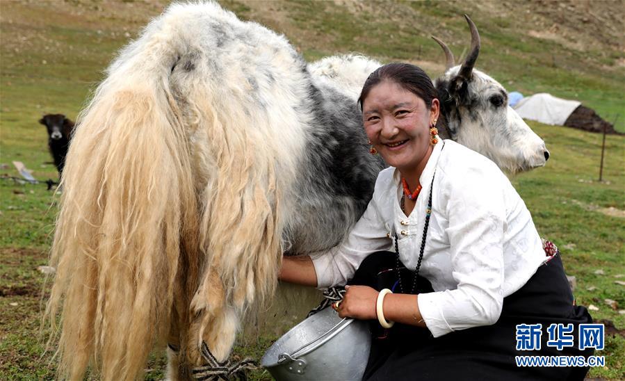 (決戰(zhàn)決勝脫貧攻堅(jiān)·圖文互動(dòng))(9)以保護(hù)促脫貧 以脫貧助保護(hù)——長江源頭第一縣的生態(tài)發(fā)展選擇