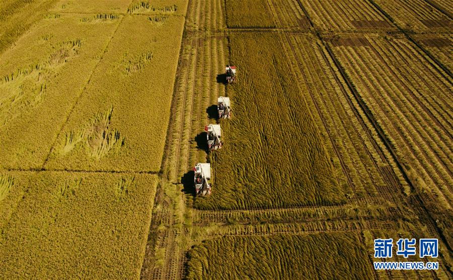 （新華全媒頭條&middot;圖文互動(dòng)）（5）紅色的傳承，藍(lán)圖的起點(diǎn)&mdash;&mdash;新中國(guó)孕育與發(fā)展的&ldquo;東北記憶&rdquo;