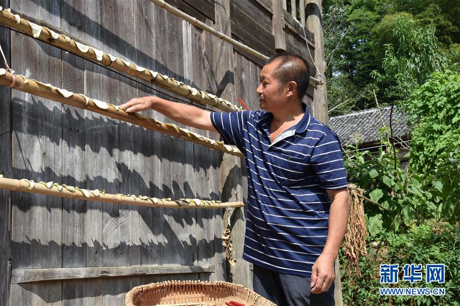 （愛國情 奮斗者&middot;圖文互動）（2）貴州印江高石坎護林隊：半輩子，以林場為家