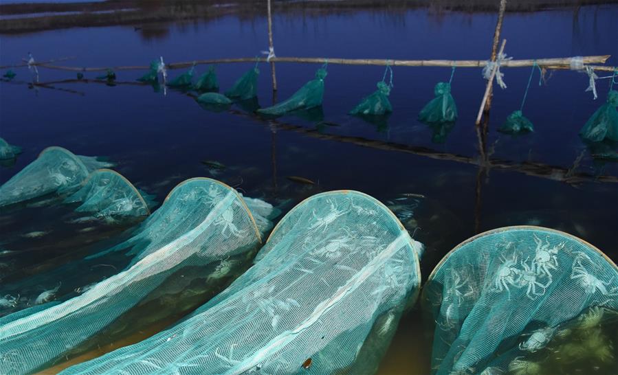 （在習近平新時代中國特色社會主義思想指引下&mdash;&mdash;新時代新作為新篇章&middot;總書記關心的百姓身邊事&middot;圖文互動）（2）水潤民心&mdash;&mdash;全國農村飲水安全攻堅成效觀察