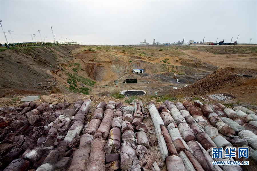 （新華全媒頭條&middot;圖文互動(dòng)）（1）綠色的啟示&mdash;&mdash;西部地區(qū)生態(tài)問(wèn)題典型個(gè)案再調(diào)查