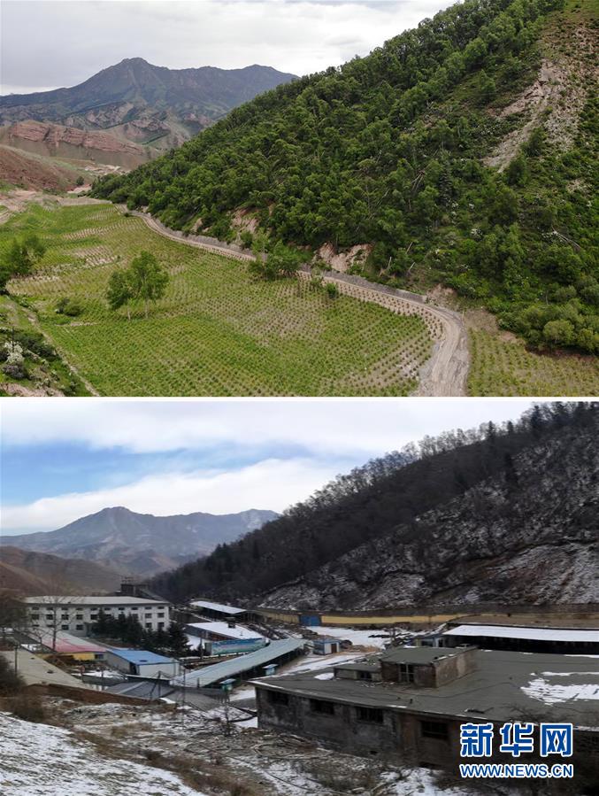 （新華全媒頭條&middot;圖文互動(dòng)）（8）綠色的啟示&mdash;&mdash;西部地區(qū)生態(tài)問(wèn)題典型個(gè)案再調(diào)查