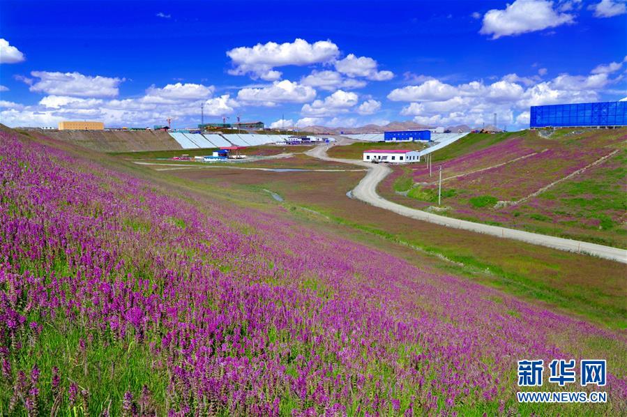 （新華全媒頭條&middot;圖文互動(dòng)）（7）綠色的啟示&mdash;&mdash;西部地區(qū)生態(tài)問(wèn)題典型個(gè)案再調(diào)查