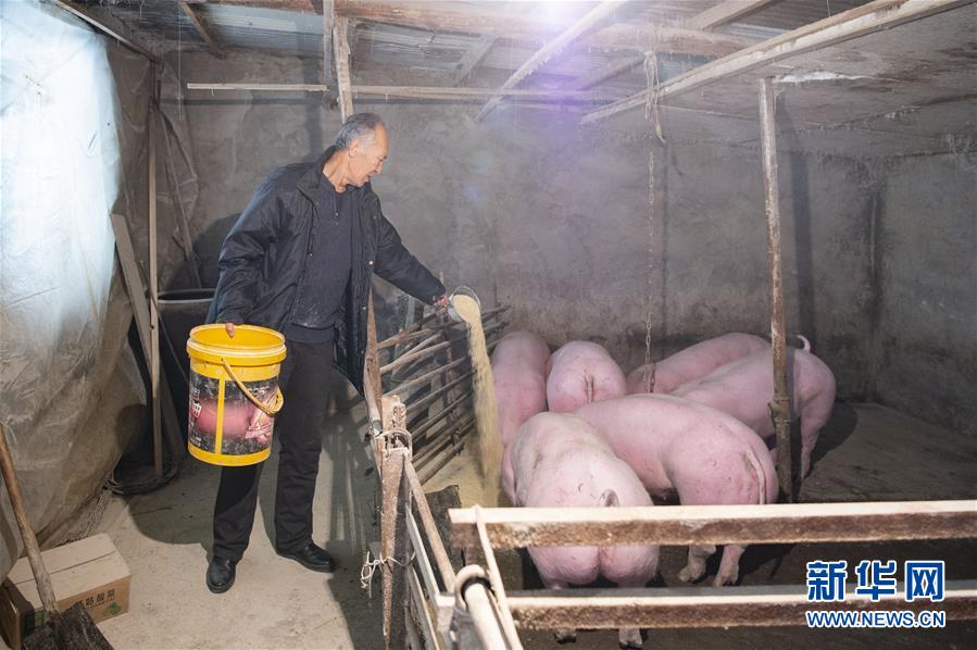 (圖文互動(dòng))(5)從“輕工漁網(wǎng)重工馬掌”到“圓夢小康”——“中國東極”脫貧攻堅(jiān)剪影