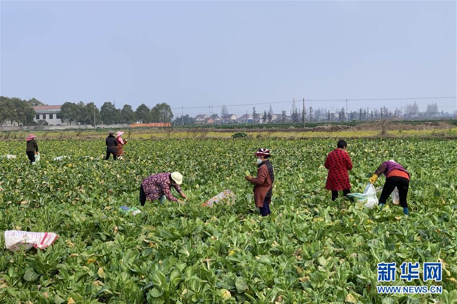 （新華全媒頭條&middot;圖文互動）（4）努力保持生產(chǎn)生活平穩(wěn)有序&mdash;&mdash;抓緊復(fù)工復(fù)產(chǎn)穩(wěn)定經(jīng)濟(jì)運(yùn)行掃描