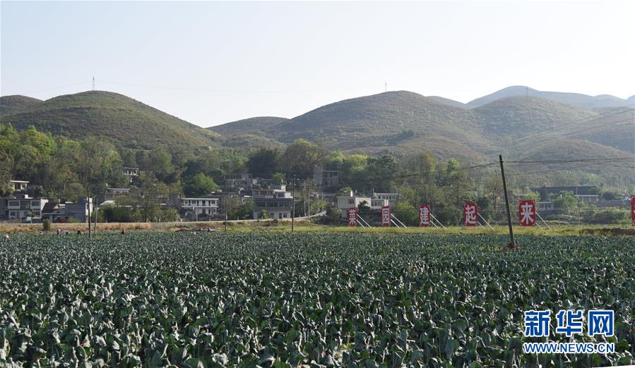 （決戰(zhàn)決勝脫貧攻堅(jiān)&middot;圖文互動）（2）逐項(xiàng)逐戶排查補(bǔ)齊脫貧攻堅(jiān)&ldquo;短板&rdquo;&mdash;&mdash;貴州晴隆縣扶貧一線工作見聞 