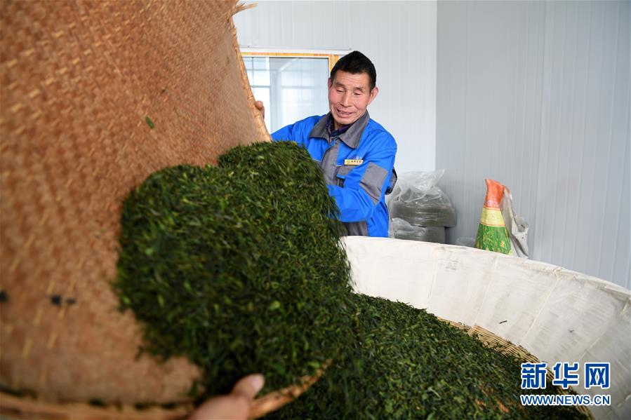 （新華全媒頭條&middot;圖文互動(dòng)）（5）紅土地上的&ldquo;綠色減貧&rdquo;決戰(zhàn)&mdash;&mdash;大別山&ldquo;將軍縣&rdquo;金寨脫貧紀(jì)實(shí)