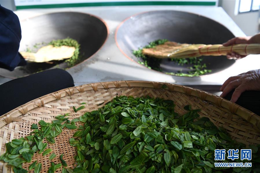 （新華全媒頭條&middot;圖文互動(dòng)）（9）紅土地上的&ldquo;綠色減貧&rdquo;決戰(zhàn)&mdash;&mdash;大別山&ldquo;將軍縣&rdquo;金寨脫貧紀(jì)實(shí)