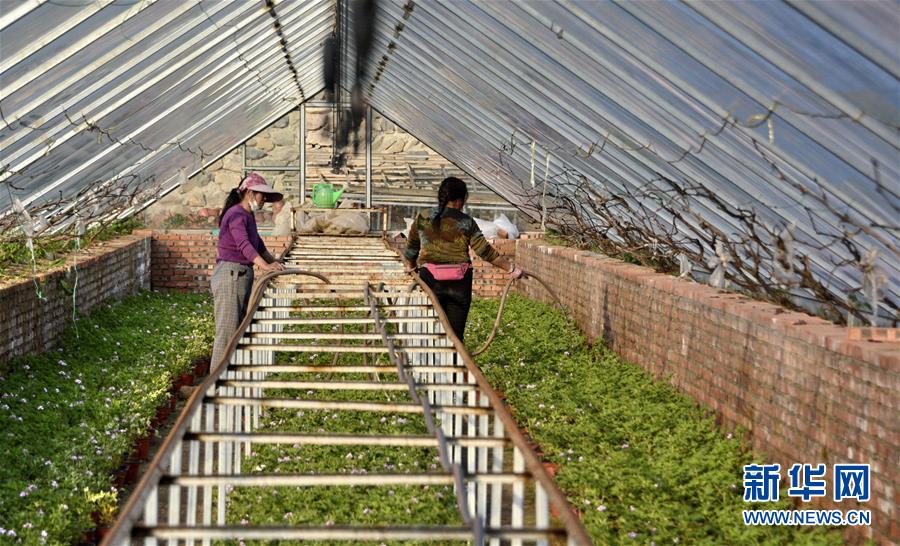 （圖文互動(dòng)）（2）這座小城，鐫刻下怎樣的&ldquo;世園印記&rdquo;&mdash;&mdash;北京世園會(huì)開(kāi)園一周年探訪延慶