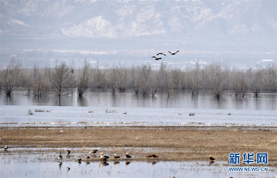 （圖文互動(dòng)）（3）這座小城，鐫刻下怎樣的&ldquo;世園印記&rdquo;&mdash;&mdash;北京世園會(huì)開(kāi)園一周年探訪延慶