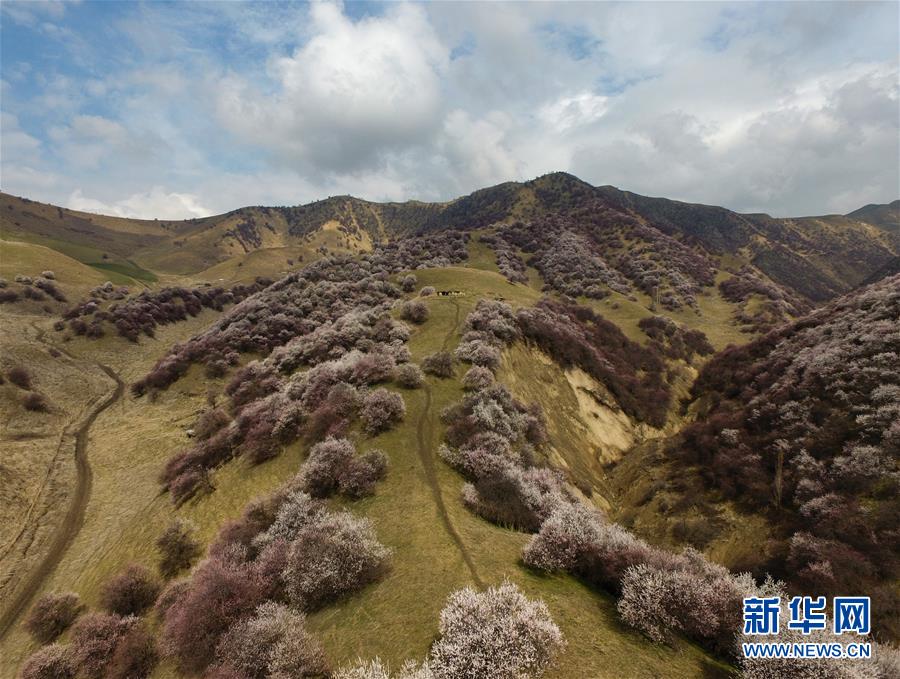 （圖文互動(dòng)）（7）&ldquo;疫&rdquo;去客來會(huì)有時(shí)&mdash;&mdash;新疆伊犁河谷旅游市場漸暖見聞