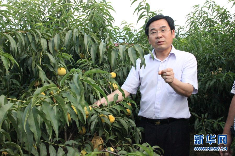 （圖文互動(dòng)）（2）&ldquo;為脫貧而來，為脫貧而去&rdquo;&mdash;&mdash;追記湖南炎陵縣委原書記黃詩燕 