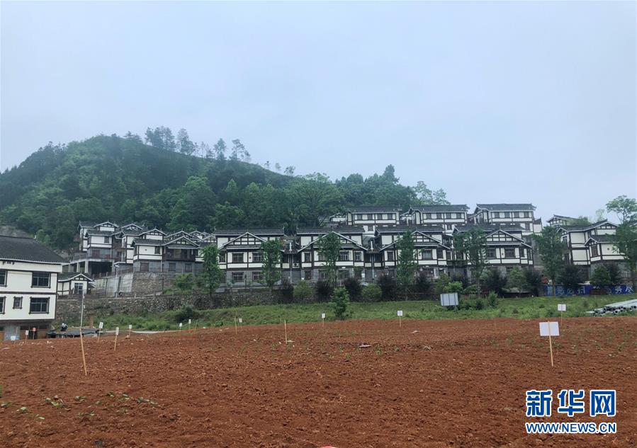 (決戰(zhàn)決勝脫貧攻堅(jiān)·圖文互動(dòng))(2)一分菜園穩(wěn)“心遷”