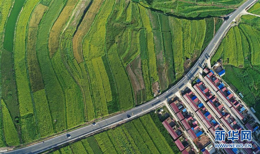 (在習(xí)近平新時代中國特色社會主義思想指引下——新時代新作為新篇章·習(xí)近平總書記關(guān)切事·圖文互動)(4)六盤山下的誓言——來自寧夏的脫貧故事