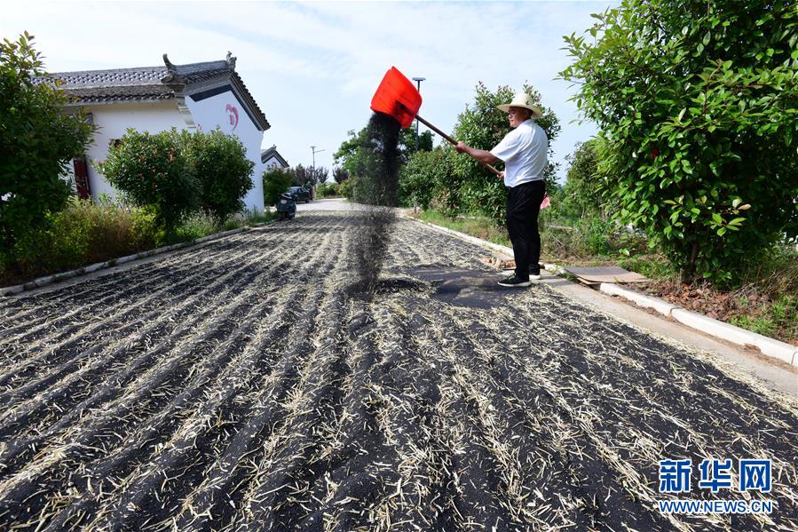 （決戰(zhàn)決勝脫貧攻堅(jiān)&middot;圖文互動）（1）貧困戶老楊的人生&ldquo;三級跳&rdquo;