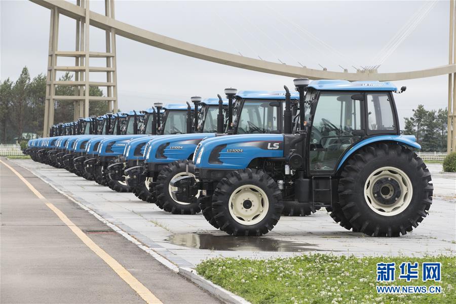 （走向我們的小康生活&middot;圖文互動）（9）端牢&ldquo;中國飯碗&rdquo; 播種綠色小康