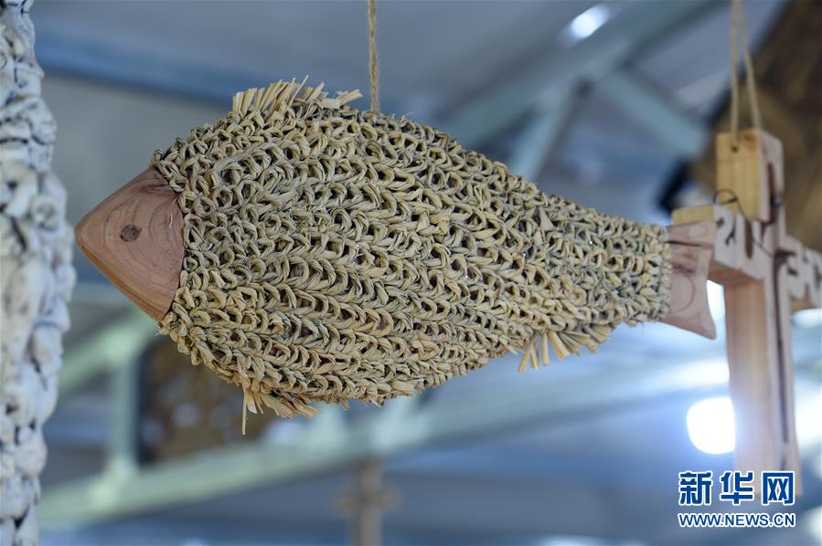  （新華全媒頭條&middot;圖文互動）（6）青春，在希望的田野上&mdash;&mdash;大別山區(qū)尋訪&ldquo;城歸&rdquo;大學(xué)畢業(yè)生