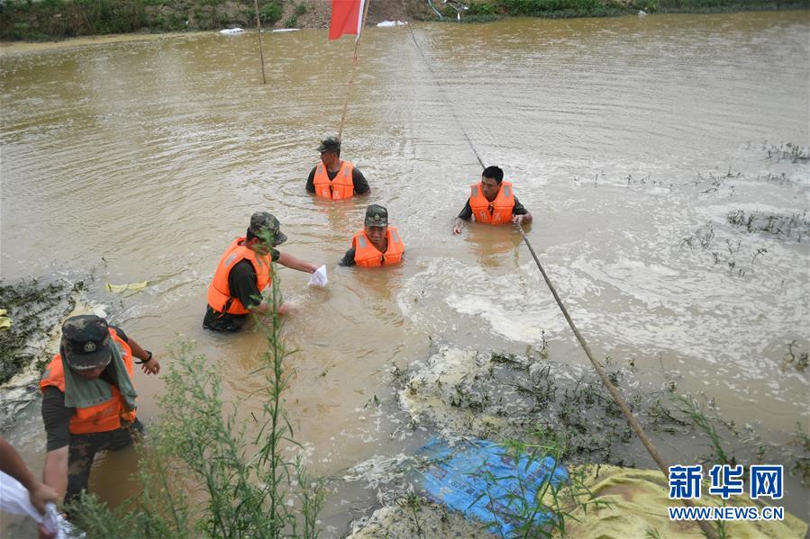 （防汛抗洪&middot;圖文互動）（1）&ldquo;大堤上有了&lsquo;導彈綠&rsquo;，我們老百姓安了心&rdquo;