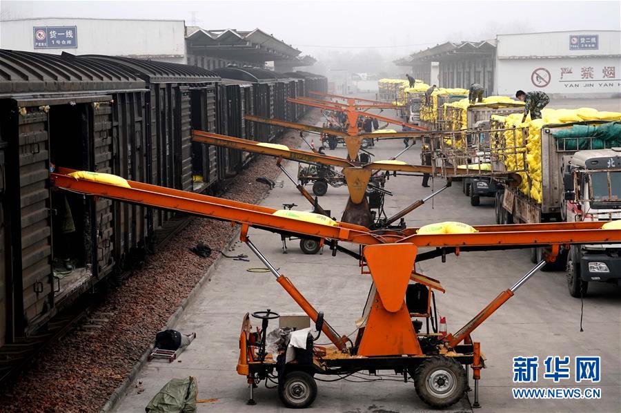 （在習(xí)近平新時代中國特色社會主義思想指引下&mdash;&mdash;新時代新作為新篇章&middot;習(xí)近平總書記關(guān)切事&middot;圖文互動）（5）食為政首&mdash;&mdash;穩(wěn)住農(nóng)業(yè)基本盤增添發(fā)展底氣