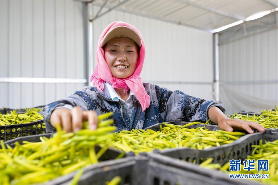 （新華全媒頭條&middot;走向我們的小康生活&middot;圖文互動）（12）23萬人的命運轉折&mdash;&mdash;我國最大易地生態(tài)移民安置區(qū)的脫貧密碼