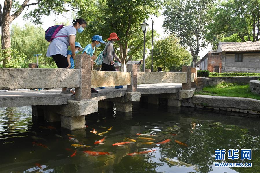 （新華全媒頭條&middot;圖文互動(dòng)）（7）老胡同里的新生活&mdash;&mdash;北京老城探訪(fǎng)記