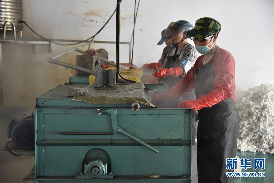 （決戰(zhàn)決勝脫貧攻堅&middot;圖文互動）（2）&ldquo;江南繅絲&rdquo;喀斯特深山扎根記