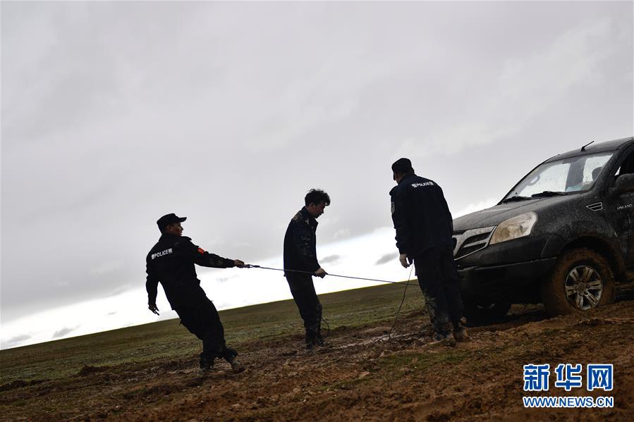 （圖文互動）（10）記者手記：可可西里，&ldquo;挪&rdquo;向&ldquo;藏羚羊大產房&rdquo;的14個半小時