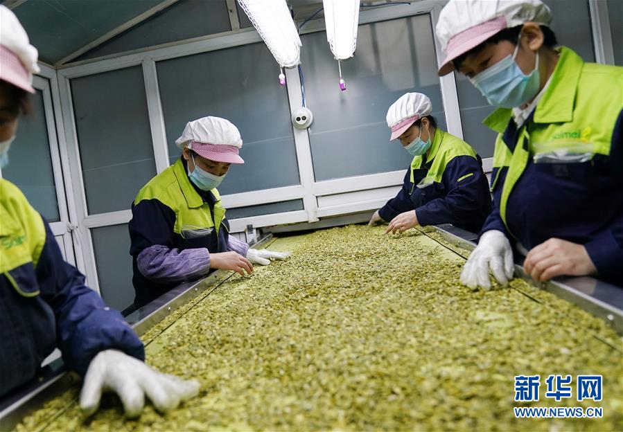 （在習(xí)近平新時代中國特色社會主義思想指引下&mdash;&mdash;新時代新作為新篇章&middot;習(xí)近平總書記關(guān)切事&middot;圖文互動）（5）激發(fā)每個經(jīng)濟&ldquo;細(xì)胞&rdquo;的活力&mdash;&mdash;千方百計把市場主體保護好