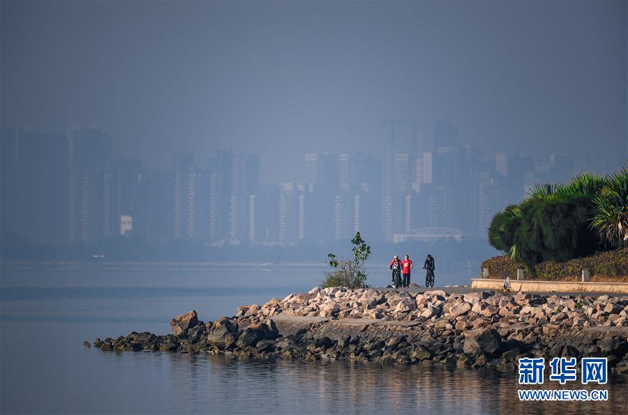 （新華全媒頭條&middot;圖文互動(dòng)）（10）鯤鵬展翅九萬里&mdash;&mdash;深圳奮力跑好建設(shè)中國特色社會(huì)主義先行示范區(qū)&ldquo;第一程&rdquo;