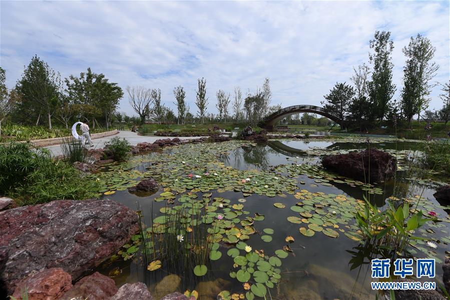 （新華全媒頭條&middot;走向我們的小康生活&middot;圖文互動）（1）&ldquo;繡&rdquo;出古都新生活&mdash;&mdash;城市精細化治理的北京探索