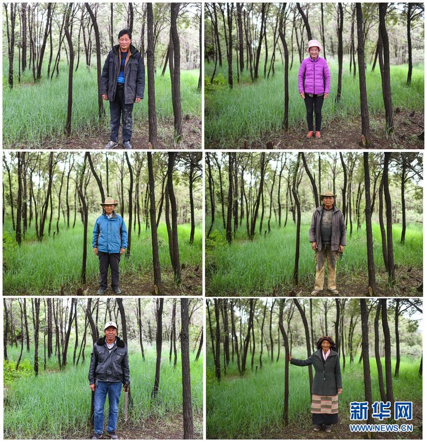 (新華全媒頭條·圖文互動)(7)莊重的承諾 歷史的奇跡——西藏自治區(qū)決戰(zhàn)脫貧攻堅紀實