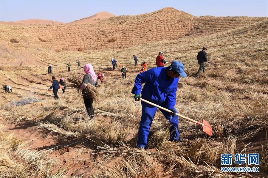 （新華全媒頭條&middot;走向我們的小康生活&middot;圖文互動(dòng)）（6）&ldquo;苦甲&rdquo;不再，&ldquo;甘味&rdquo;綿長(zhǎng)&mdash;&mdash;脫貧攻堅(jiān)的甘肅味道