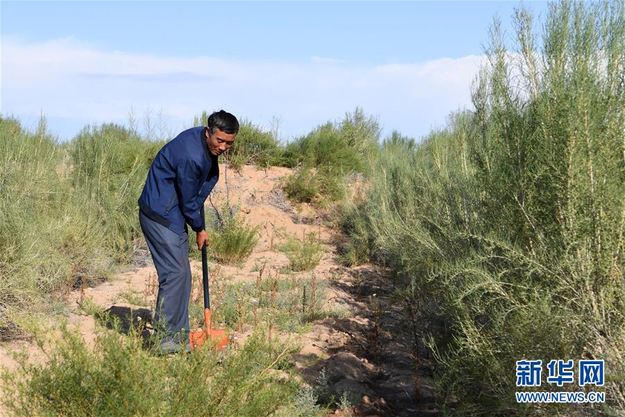 （新華全媒頭條&middot;走向我們的小康生活&middot;圖文互動(dòng)）（8）&ldquo;苦甲&rdquo;不再，&ldquo;甘味&rdquo;綿長(zhǎng)&mdash;&mdash;脫貧攻堅(jiān)的甘肅味道