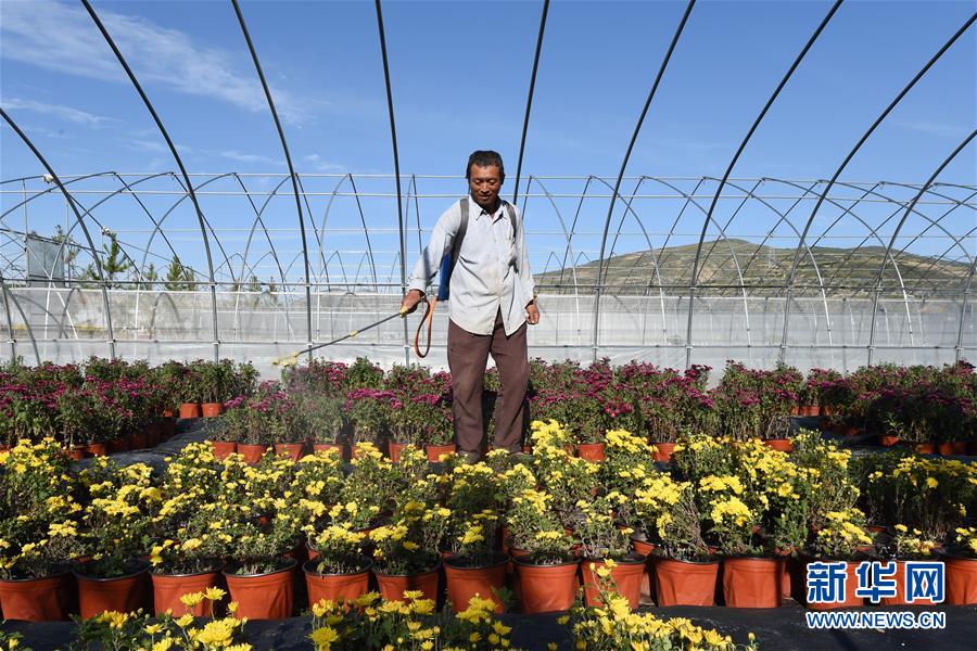 （新華全媒頭條&middot;走向我們的小康生活&middot;圖文互動(dòng)）（10）&ldquo;苦甲&rdquo;不再，&ldquo;甘味&rdquo;綿長(zhǎng)&mdash;&mdash;脫貧攻堅(jiān)的甘肅味道