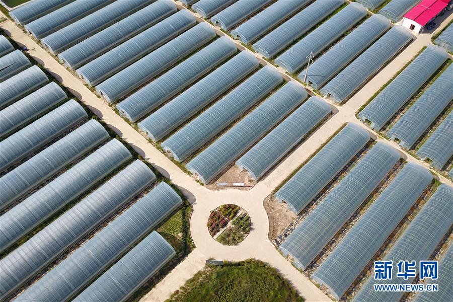 （新華全媒頭條&middot;走向我們的小康生活&middot;圖文互動(dòng)）（11）&ldquo;苦甲&rdquo;不再，&ldquo;甘味&rdquo;綿長(zhǎng)&mdash;&mdash;脫貧攻堅(jiān)的甘肅味道