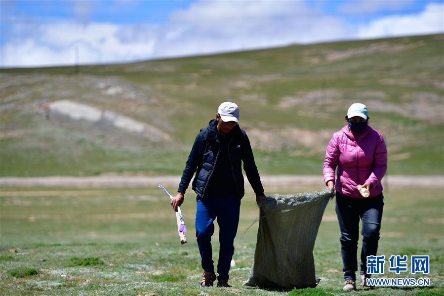 （新華全媒頭條&middot;走向我們的小康生活&middot;圖文互動(dòng)）（5）綠色繪就三江源&mdash;&mdash;來(lái)自青海脫貧奔小康一線的蹲點(diǎn)報(bào)告