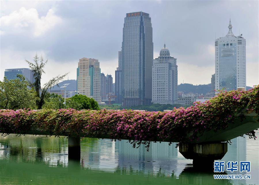 (特區(qū)40年?圖文互動)(7)廈庇五洲客 門納萬頃濤——廈門經(jīng)濟特區(qū)40年發(fā)展紀(jì)實