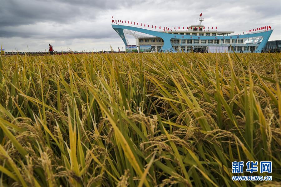 （新華全媒頭條&middot;圖文互動(dòng)）（1）天道酬勤的大地贊歌&mdash;&mdash;寫在第三個(gè)中國農(nóng)民豐收節(jié)之際