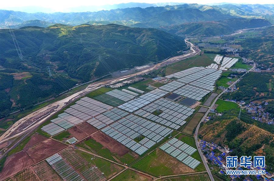 (走向我們的小康生活·決戰(zhàn)決勝脫貧攻堅·圖文互動)(2)把產(chǎn)業(yè)興盛之“根”扎進大涼山