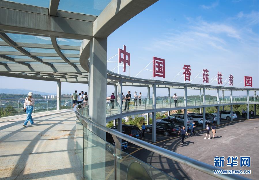 （新華全媒頭條&middot;走向我們的小康生活&middot;圖文互動）（2）特殊之年，荊楚大地書寫不平凡的答卷