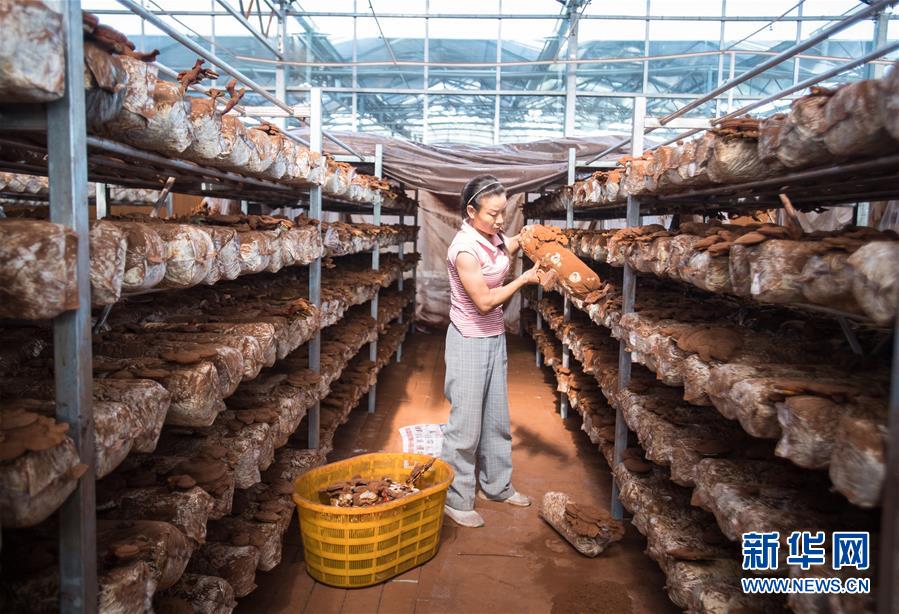 （新華全媒頭條&middot;走向我們的小康生活&middot;圖文互動）（3）特殊之年，荊楚大地書寫不平凡的答卷