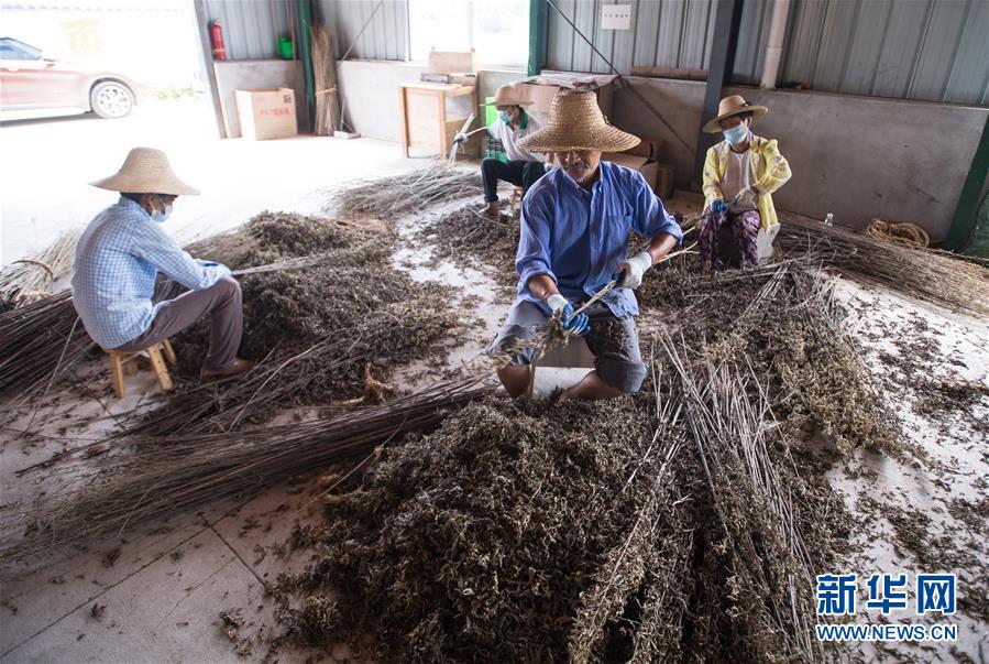 （新華全媒頭條&middot;走向我們的小康生活&middot;圖文互動）（10）特殊之年，荊楚大地書寫不平凡的答卷