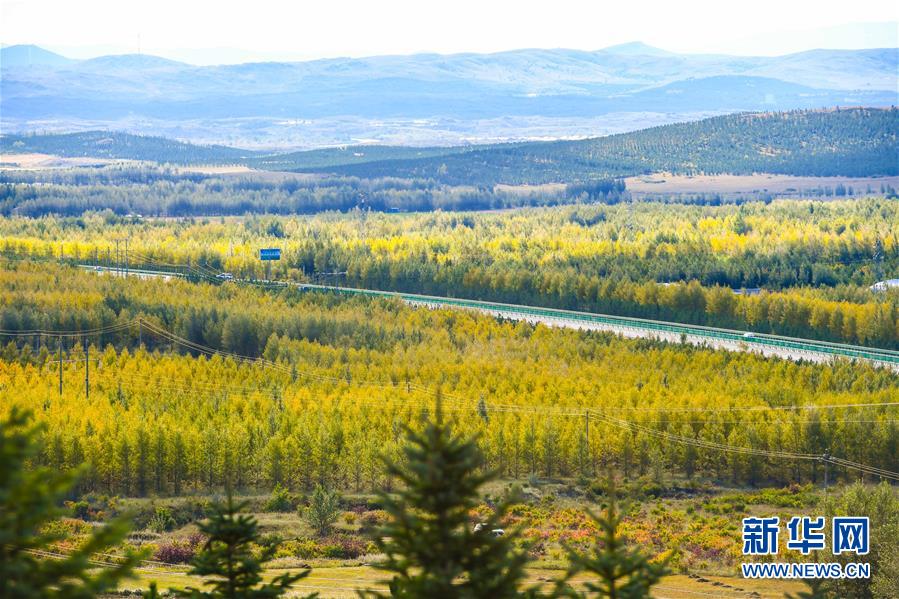 （在習(xí)近平新時代中國特色社會主義思想指引下&mdash;&mdash;新時代新作為新篇章&middot;習(xí)近平總書記關(guān)切事&middot;圖文互動）（7）綠意，在黃沙中鋪展&mdash;&mdash;我國防沙治沙紀(jì)實