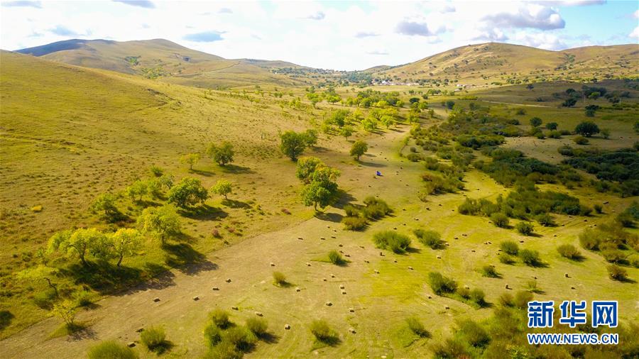 （在習(xí)近平新時代中國特色社會主義思想指引下&mdash;&mdash;新時代新作為新篇章&middot;習(xí)近平總書記關(guān)切事&middot;圖文互動）（4）綠意，在黃沙中鋪展&mdash;&mdash;我國防沙治沙紀(jì)實