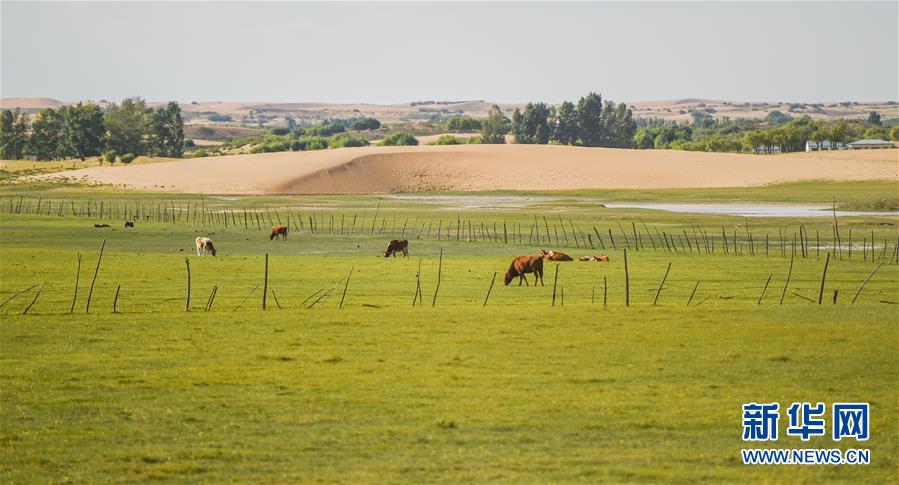 （在習(xí)近平新時代中國特色社會主義思想指引下&mdash;&mdash;新時代新作為新篇章&middot;習(xí)近平總書記關(guān)切事&middot;圖文互動）（9）綠意，在黃沙中鋪展&mdash;&mdash;我國防沙治沙紀(jì)實