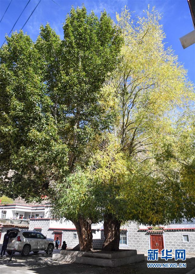 （圖文互動）（2）歷史遺跡的述說&mdash;&mdash;西藏昌都源遠(yuǎn)流長的民族團(tuán)結(jié)故事