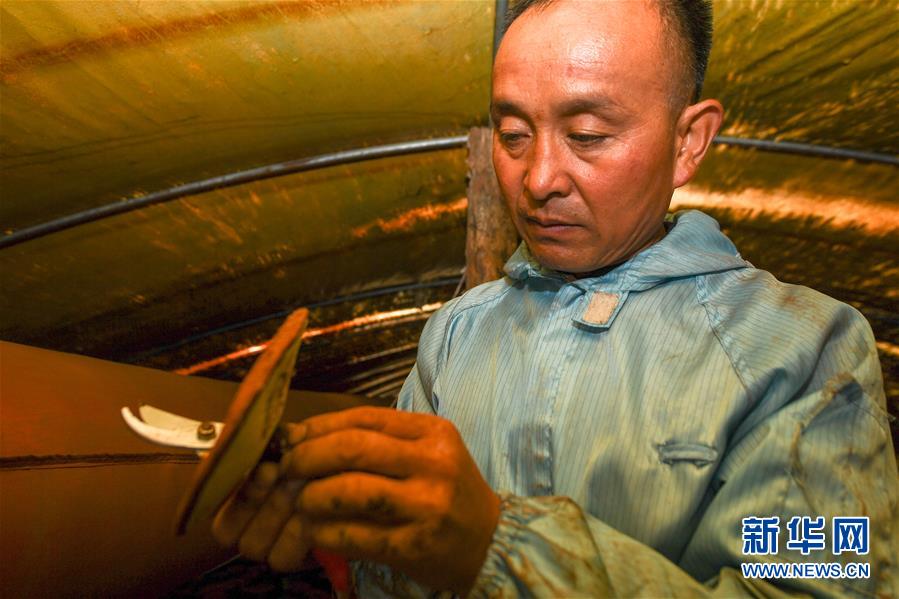 （決戰(zhàn)決勝脫貧攻堅(jiān)&middot;圖文互動）（3）從&ldquo;因殘致貧&rdquo;到&ldquo;帶頭脫貧&rdquo;&mdash;&mdash;吉林靖宇有這樣一位&ldquo;脫貧英雄&rdquo;