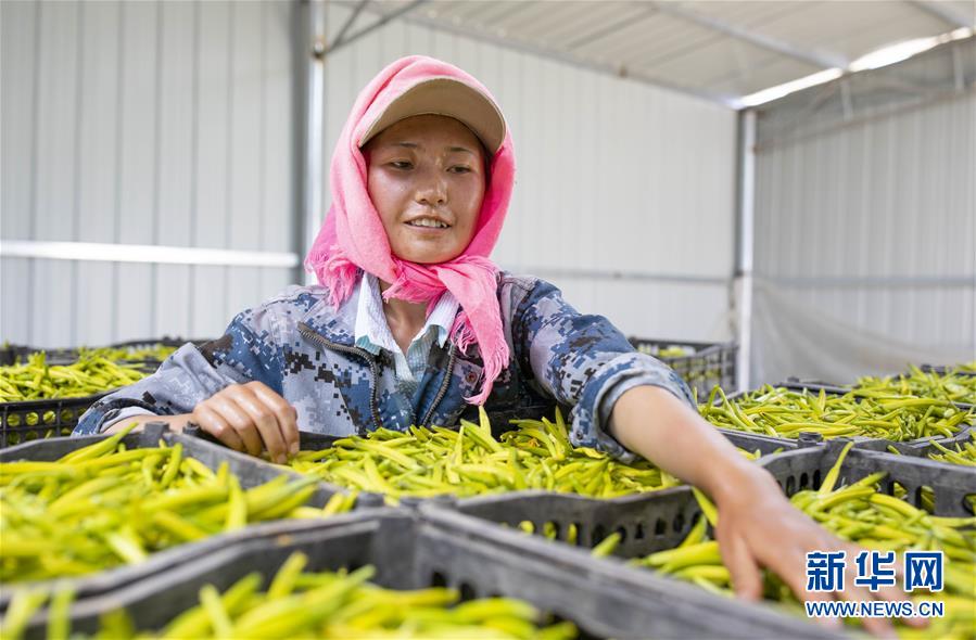 （新華全媒頭條&middot;百萬大移民&middot;圖文互動）（9）從大山深處到大河之畔&mdash;&mdash;寧夏持續(xù)移民百萬&ldquo;拔窮根&rdquo;啟示