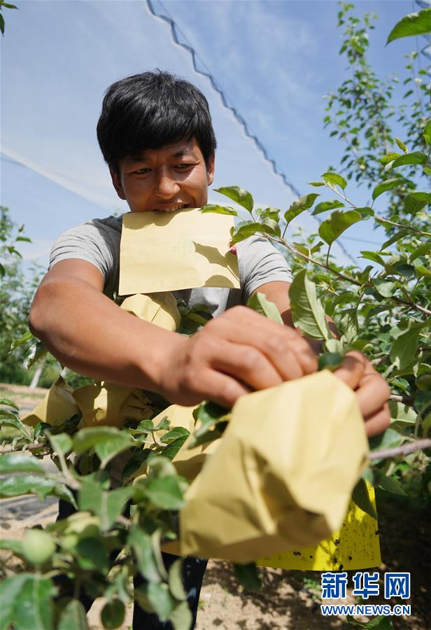 （習(xí)近平的小康故事&middot;圖文互動）（2）&ldquo;我很期盼的一件事，就是讓鄉(xiāng)親們飽餐一頓肉&rdquo;&mdash;&mdash;習(xí)近平和脫貧攻堅的故事